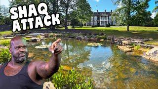 Shaquille O'Neal Pond UPDATE