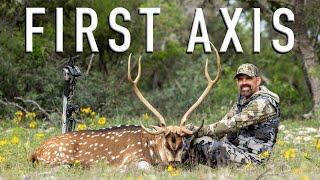 Bowhunting Axis Deer in Texas, Tiffany Scores In Iowa // Lee and Tiffany Lakosky