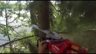 Flying tree meme