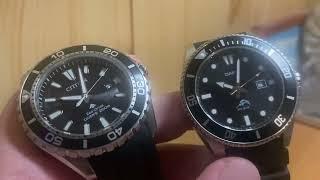 Casio Duro  или Citizen, выбираем бюджетные дайверы