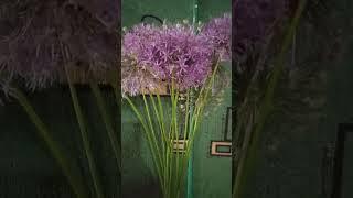 "Планета Весна."слова и музыка Фаины и Юрия Леминовых.исполняют Фаина и Юрий Леминовы фо-ноФЛеминова