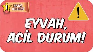 Eyvah, Acil Durum! 1.Sınıf Hayat Bilgisi #2025