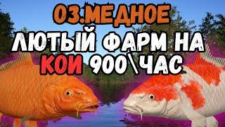 ЛЮТЫЙ ФАРМ НА МЕДНОМ 900+-час/оз.Медное ● Русская Рыбалка 4 | РР4