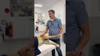 Assessment of media patellar luxation  with Dr. James Simcock