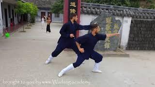 Wudang Xing Yi Quan - Wudang Academy Vienna