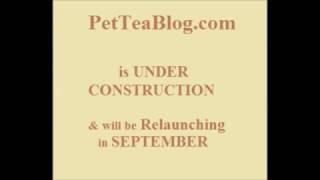 PetTeaBlog.com will be Back in OCTOBER SORRY (Thanks For Your Patience)