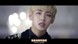 BTS - Blood Sweat & Tears(血汗淚)中英特效