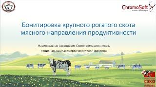 Спец Проект: Бонитировка крупного рогатого скота мясного направления продуктивности