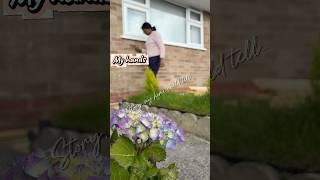My diy garden project day 1 #lifeisbutadream #diy #homedecor