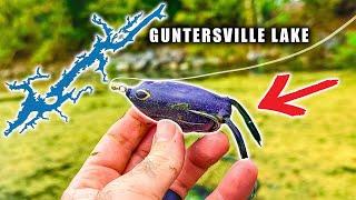 The BEST Bite on the BEST Lake in the Country? (Bass Fishing Lake Guntersville)