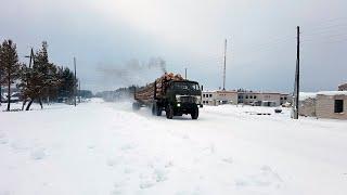 Вывозка леса в хлыстах. МАЗы-509А еще в строю. Валка леса ЛП-19, трелевка леса ЛП-18Г.