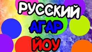 РУССКИЙ АГАРЙО | ЧАШКА ПЕТРИ