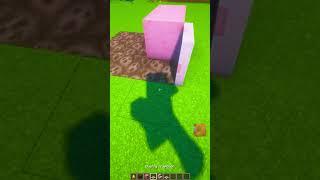 Minecraft Cherry Blossom Hot Tub 