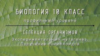 Биология 10 кл Проф уровень §68 Экспериментальный мутагенез. Получение полиплоидов.