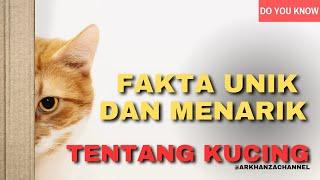 fakta unik tentang kucing