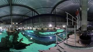 3D Blue Planet Behind The Scenes by Simcoemedia
