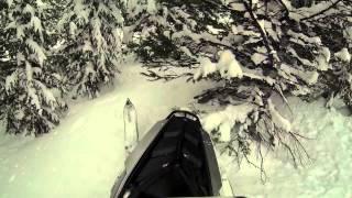 powder hounds