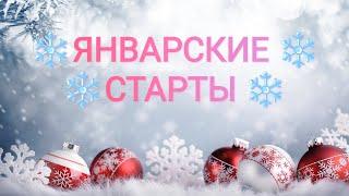 Январские старты 2024/Совиный лес/Лука-с/Чудесная игла/вышивка крестом/вышивальные будни