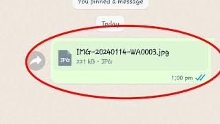 How to Send Photos as Document in WhatsApp in Android | Send Multiple Photos as DOCUMENT