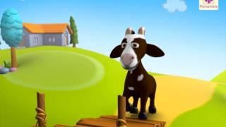 Two Silly Goats | A 3D English Story for Children | Periwinkle | Story 8