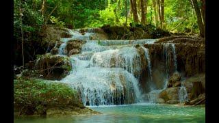 Beautiful Relaxing Music Peaceful Piano, 4K UHD hours Jungle Waterfall  mindfulness, ambience