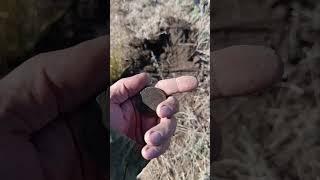 3 копейки серебром #metaldetecting #кладоискатели #клад