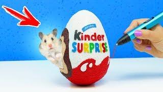 РИСУЮ КИНДЕР СЮРПРИЗ 3D РУЧКОЙ | КЛАДОВАЯ В ДОМ  ДЛЯ ХОМЯКА  DIY | KINDER SURPRISE 3D PEN