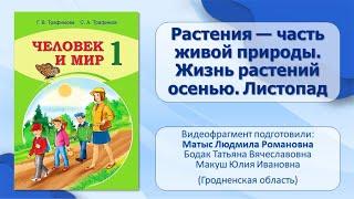 Тема 4. Тема Растения — часть живой природы. Жизнь растений осенью. Листопад