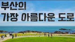 우연히 발견한 부산에서 가장 아름다운 도로!! 온천천 자전거도로를 타고 가봤습니다 (코스파일/gpx파일 첨부)