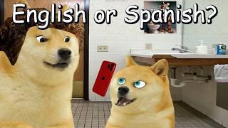 Doge tries the English or Spanish trend