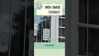 白菜：咪咪我呀也是名貓了，出去打聽打聽誰不認識我白菜#小貓 #可愛到爆炸 #萌寵 #娛樂評論大賞