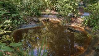 Timelapse | Pond Cleaning