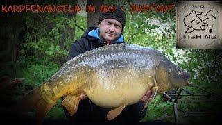 Karpfenangeln im Mai - Instant | wr fishing