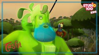 HAHAHA!- TASHI - Studio100 KIDS - KIDS cartoons️