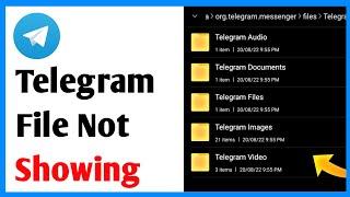 Fix Telegram Files Not Showing In File Manager