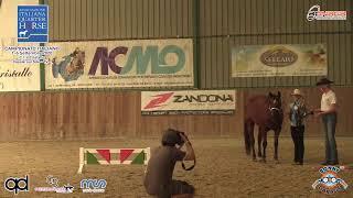 Live stream di Bonaga Communication