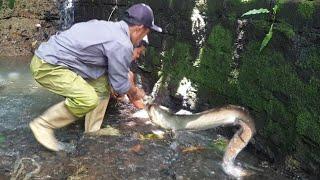 DI BURU BANYAK PEMANCING‼️ SIDAT MONSTER YANG MENGHANCURKAN JORAN AKHIRNYA BISA DI KELUARKAN