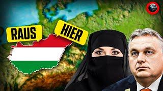 Wie Ungarn das Migranten Problem löst