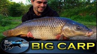 BIG CARP Fishing tips in Summer - TAFishing Show