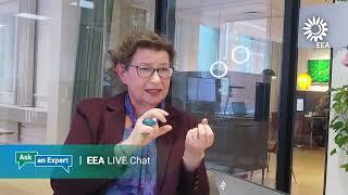 EEA Ask an Expert - conversation with our Executive Director