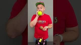 Avocado Balloon Twisting Tutorial  #balloonsonline ##balloontwisting #balloontwister