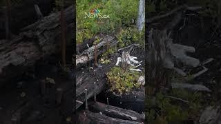 128-year-old shipwreck on Vancouver Island charred by fire