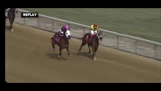 Fixed horse race at Mahoning Valley Race Course? Watch the #1 