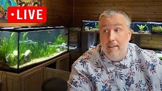 3 New Products at Aquarium Co-Op Shopping Channel Live Stream