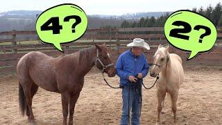 Starting Colts:  What Age? (Episode 188) - Herm Gailey: A Lifetime with Horses