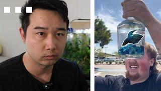Fishkeeper reacts to Hennessy bottle Betta Fish Tank | Fish Tank Review 312