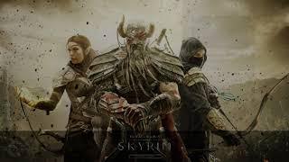 The Elder Scrolls V: Skyrim Special Edition MSR - Collection квесты стражи рассвета