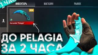 ТРЕЙД С НУЛЯ ДО KARAMBIT "PELAGIA" ЗА 2 ЧАСА | ТРЕЙД В СТАНДОФФ 2