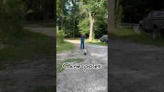 Cane poles #fyp #diy #country #staycountry #homesteading #fishing #homemade