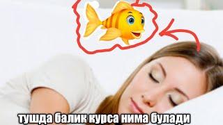 Тушда балик курса нима булади туш табири